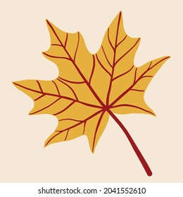 Simplicity maple leaf freehand drawing flat design. Vector illustration.