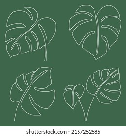 Simplicity monstera leaf freehand continuous line drawing flat design.Vector illustration.