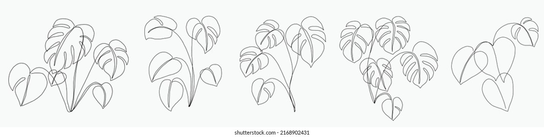 Simplicity monstera leaf freehand continuous line drawing flat design.Vector illustration.