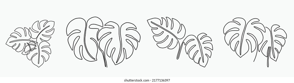 Simplicity monstera leaf freehand continuous line drawing flat design.Vector illustration.