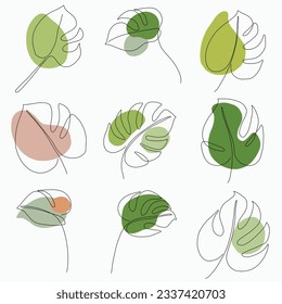 Simplicity monstera leaf freehand continuous line drawing flat design.Vector illustration.