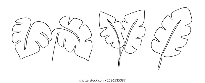 Simplicity monstera leaf freehand continuous line art hand drawing collection .Vector illustration 