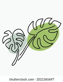 Simplicity monstera plant freehand continuous line drawing flat design. Vector illustration.