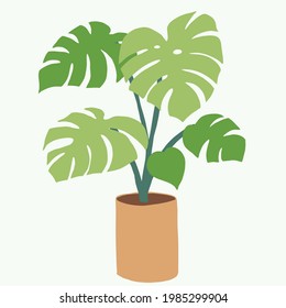 Simplicity monstera plant freehand drawing flat design. Vector illustration.