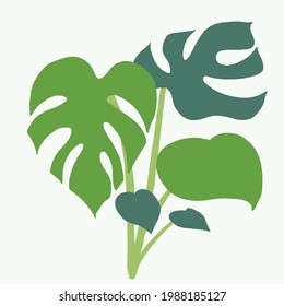 Simplicity monstera plant freehand drawing flat design. Vector illustration.