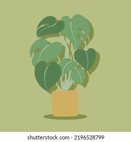 Simplicity monstera plant freehand drawing flat design. Vector illustration.
