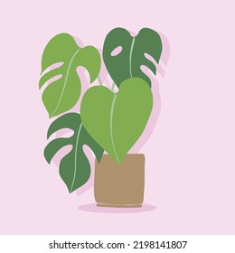 Simplicity monstera plant freehand drawing flat design. Vector illustration.