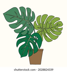 Simplicity monstera plant freehand outline drawing flat design. Vector illustration.