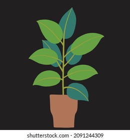 simplicity rubber fig plant freehand drawing flat design.vector illustration.