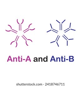 Simplified anti-body icon, Each antibody binds to a specific antigen; an interaction similar to a lock and key. anti-A and anti-B. concept for basic chemistry education, vector illustration design 