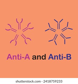 Simplified anti-body icon, Each antibody binds to a specific antigen; an interaction similar to a lock and key. anti-A and anti-B. concept for basic chemistry education, vector illustration design 