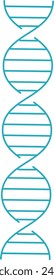 Estructura de doble hélice de ADN azul simplificada sobre fondo blanco. Ilustración vectorial de tema biológico o genético.