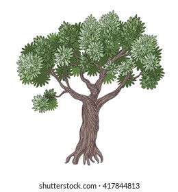 Simplified cartoon image of Olive Tree isolated on white.