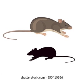 Simplified colored image and silhouette of field mouse isolated on white background. 