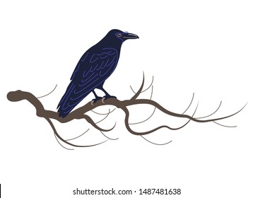 Simplified crow isolated on white background. Black bird sitting on tree branch. Raven with big beak side view vector flat illustration