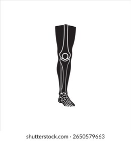 A simplified depiction of the bones within a human leg, showcasing the knee and foot.