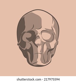 Simplified drawing of a human skull. Linear drawing with shades. EPS8 vector illustration.
