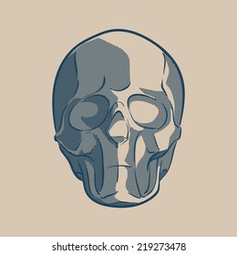 Simplified drawing of a human skull. Linear drawing with stroked shades. EPS8 vector illustration.