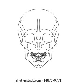 Simplified Drawing Human Skull On White Stock Vector (Royalty Free ...