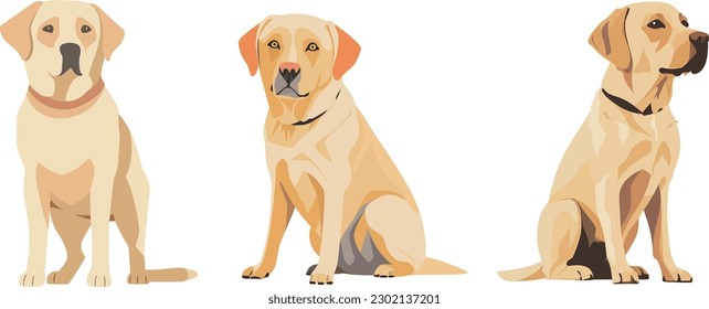 imagen de vector de arte plano simplificado de Labrador amarillo Recuperador