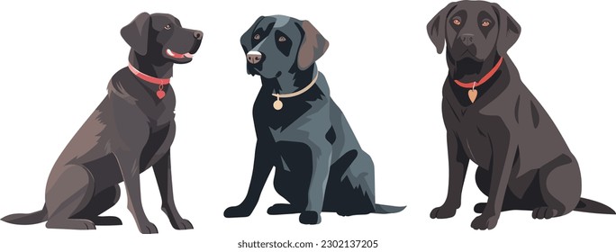 imagen de vector de arte plano simplificado de Labrador negro Recuperador