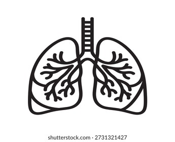 Simplified human lungs vector illustration