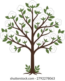A simplified illustration of a cotton tree featuring a brown trunk, green leaves, and numerous white, fluffy cotton bolls.