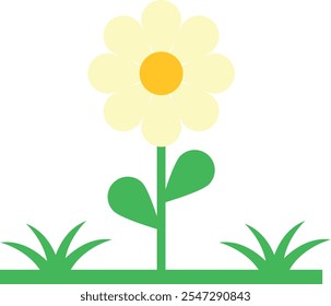 Simplified illustration of a flower with a yellow center, white petals, two green leaves, and green grass at the base.