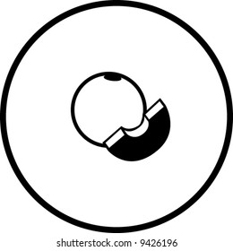 simplified illustration of a melon fruit, to be used as a sign, symbol or icon