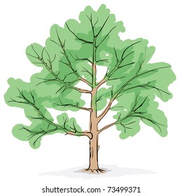 The simplified image of a crone of the big tree - vector drawing eps8
