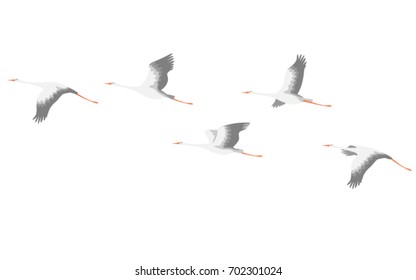 Simplified image of flying storks isolated on white. Bird flight flat illustration.
