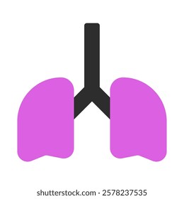 A simplified image of the human lungs in pink color