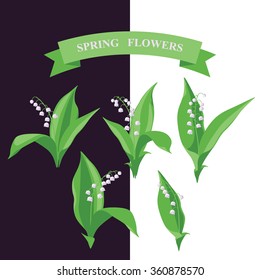 Simplified image of spring flower. Lily of the valley set isolated on dark and white background.