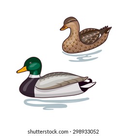 Simplified Image Two Floating Wild Ducks Stock Vector (Royalty Free ...