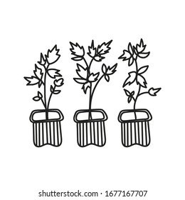 Simplified outline vector illustration of a seedlings on a white background.