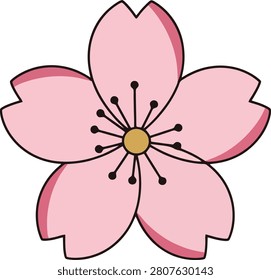 Simplified Single Pink Cherry Blossom Branch With Delicate Petals and Clean Outlines Isolated on Plain White Background Surface