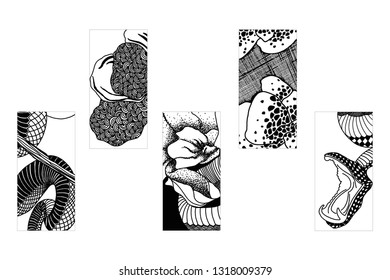 simplified and stylised b/w hand drawn snake parts doodling