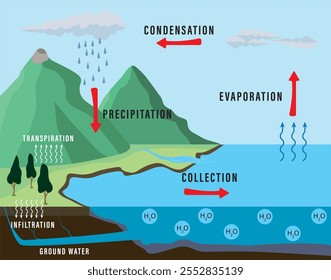 Simplified vector representation of the water cycle, a geographical term