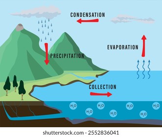 Simplified vector representation of the water cycle, a geographical term