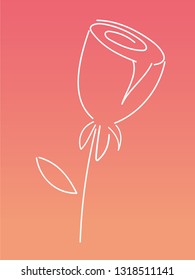 Simplify white line Rose