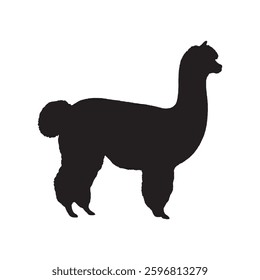 Simplistic Alpaca Silhouette with Clean and Elegant Lines - Alpaca Vector - Alpaca Icon
