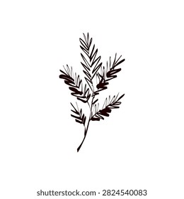Simplistic botanical branch illustration with bold lines on white background.