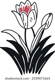 A simplistic and elegant line drawing of a tulip flower with a striking red bloom, conveying natural beauty and minimalistic charm.