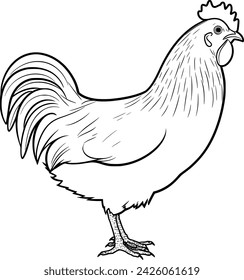 Simplistic Vector Black and white drawing of Chicken Hen Rooster Eggs