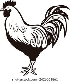 Simplistic Vector Black and white drawing of Chicken Hen Rooster Eggs