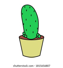 Simply natural cactus vector icon