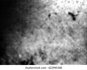 Simply Place Grunge Texture over any Object to Create Distressed Effect. Vector. Halftone dots pattern . Dirty spotted Background with tiny circles . Trendy abstract design element for your artwork .