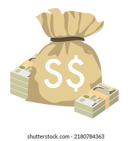 Singaporean Dollar Vector Illustration. Singapore, Brunei money set bundle banknotes. Money bag 10000 SGD. Flat style. Isolated on white background. Simple minimal design.