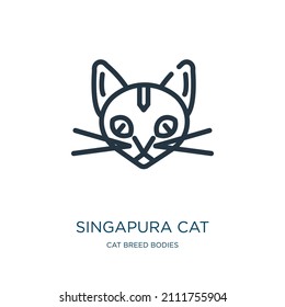 icono de la línea delgada del gato singapura. carácter, iconos lineales animales del concepto de cuerpos de raza de gato signo de contorno aislado. Elemento de símbolo de ilustración vectorial para diseño web y aplicaciones.