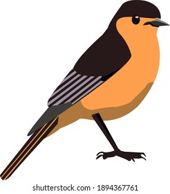 The singing bird sits on a tree branch